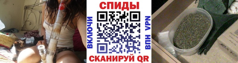 OMG маркетплейс  Асино  БУТИРАТ бутик 
