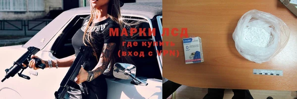 индика Алексин