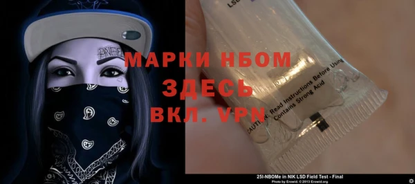 индика Алексин