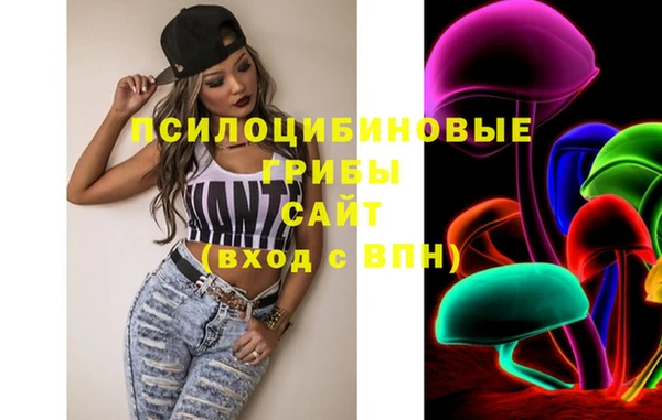 индика Алексин