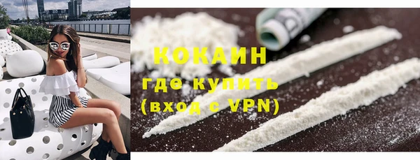 соль ск Алзамай