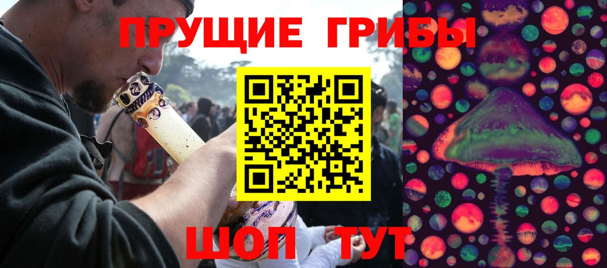 купить  цена  Вход с VPN  Галлюциногенные грибы мухоморы  Асино  Псилоцибиновые грибы Psilocybe 