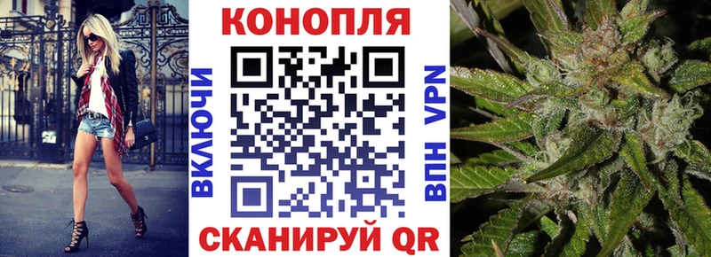 Каннабис тримм  где можно купить   Асино 